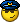 policaj